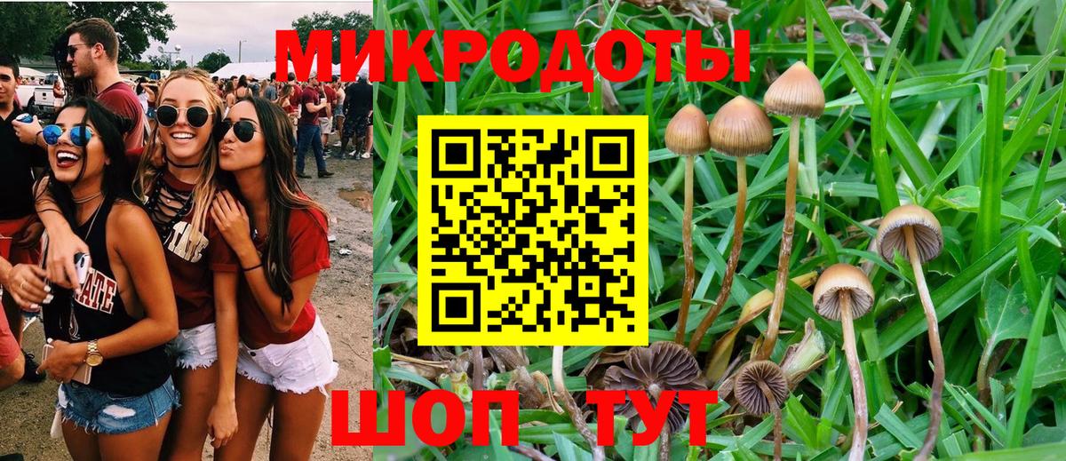 Псилоцибиновые грибы Magic Shrooms Нижневартовск