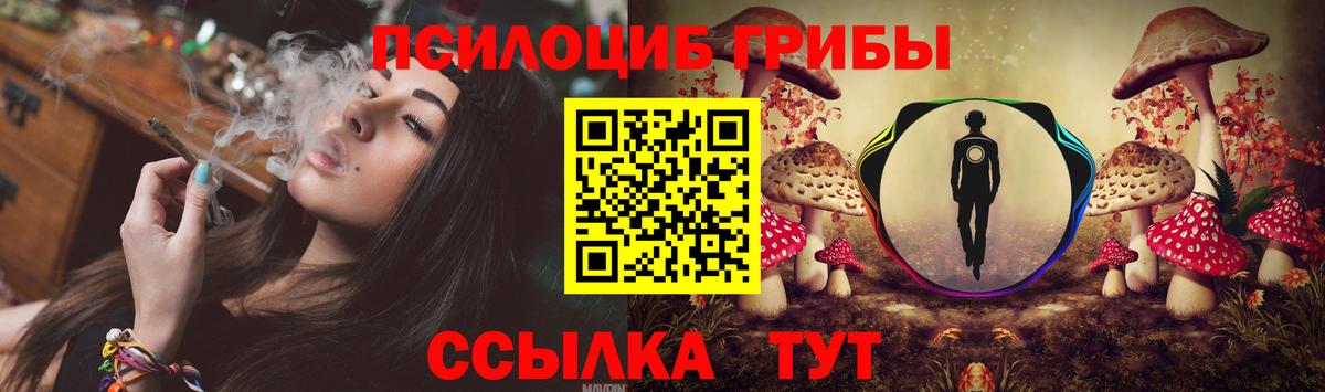 Галлюциногенные грибы Psilocybine cubensis  Галлюциногенные грибы мухоморы  Вход с VPN  Нижневартовск 